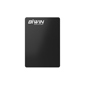 BIWIN C1008