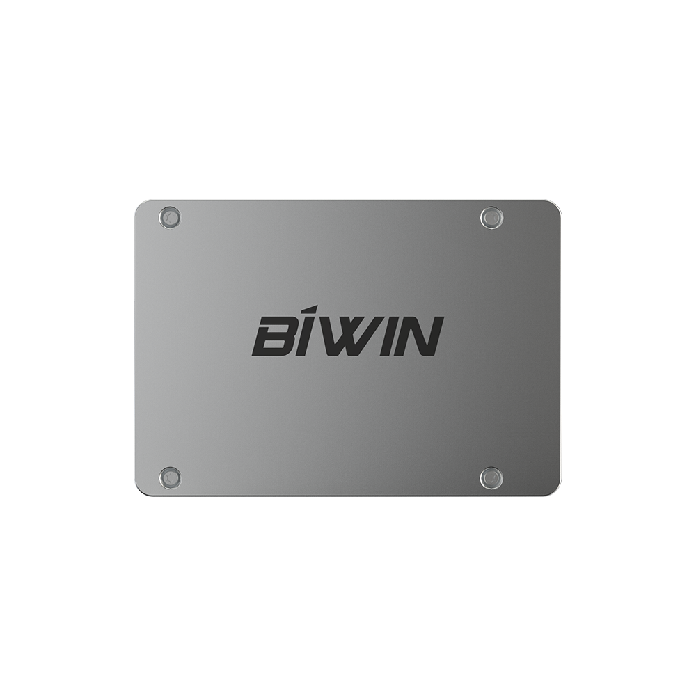 BIWIN C1004